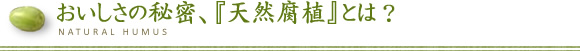 おいしさの秘密、天然腐植とは?